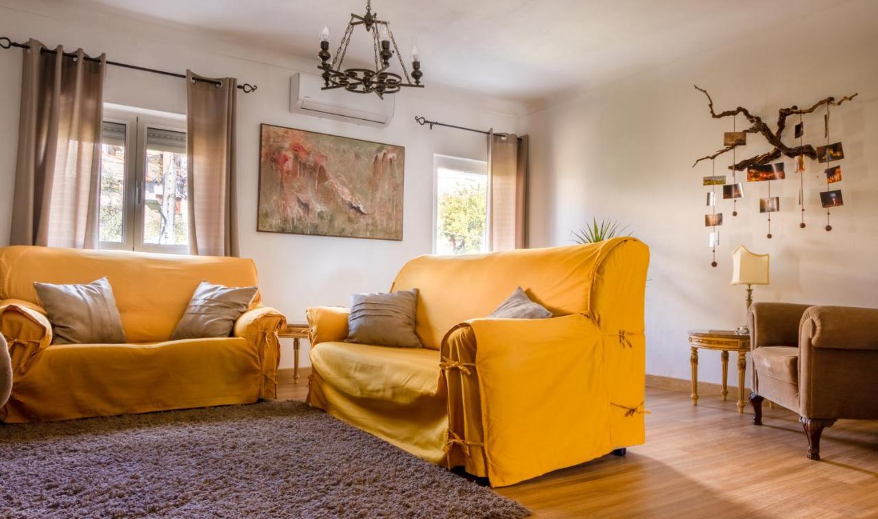 Fonte Da Rosa Guest House Apt2 贝尔蒙特 外观 照片